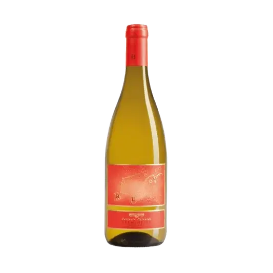 Ben Vermentino 2023 BIO Weisswein
