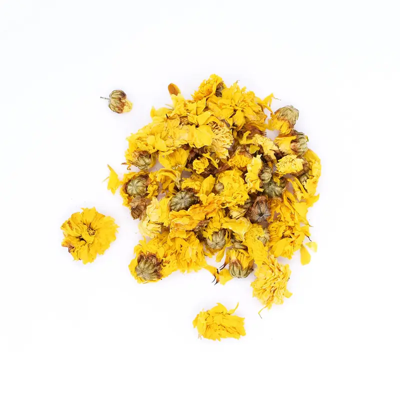 Chrysantheme
