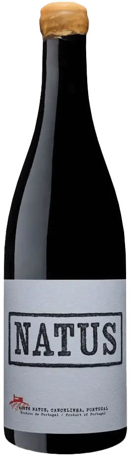 Natus Tinto