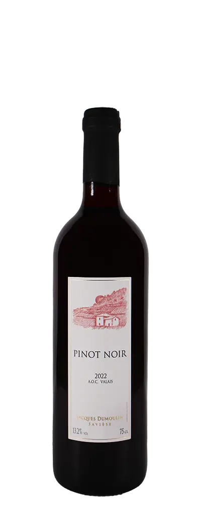 Pinot Noir - Jacques Dumoulin